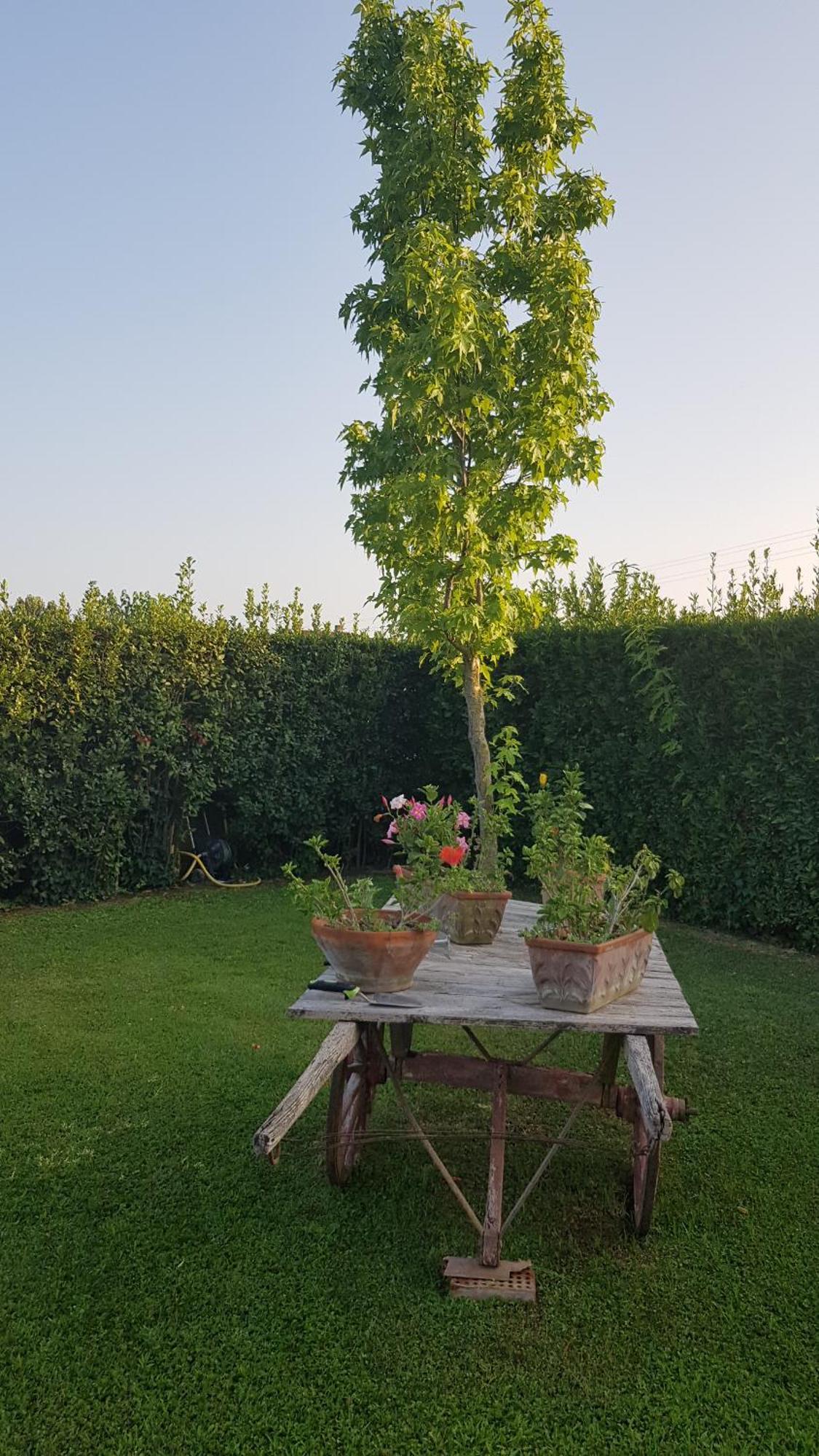 Ferienwohnung Leupupe Relax Cultura Mare Monti Cascina Exterior foto